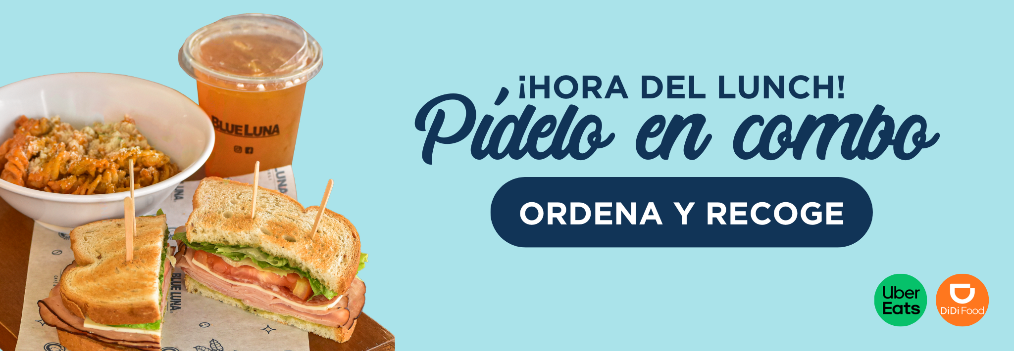 Banner web